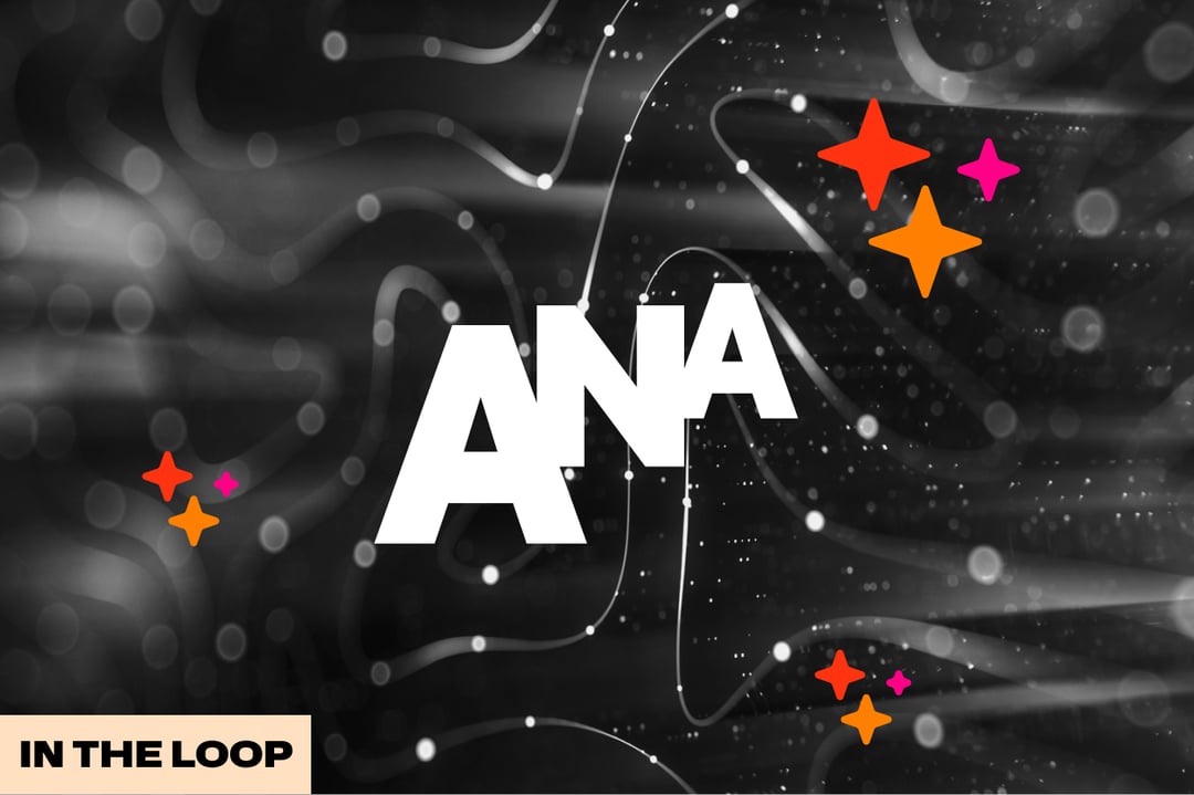 ANA Article HDMZ Newsletter-2